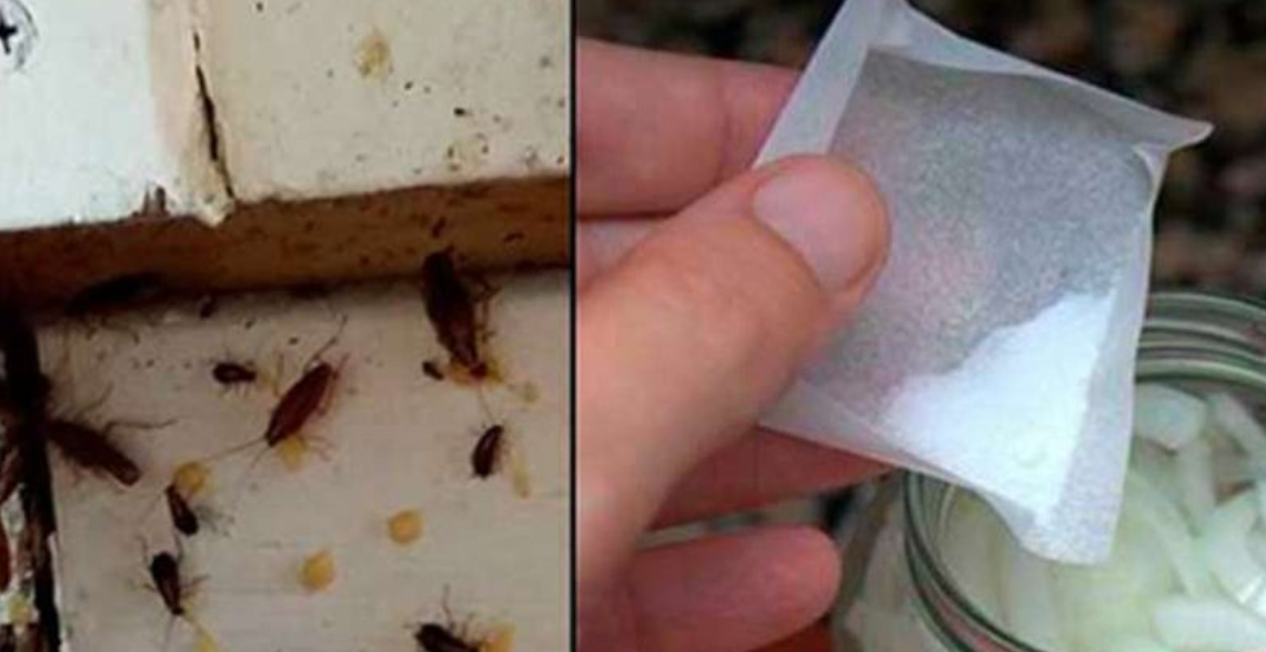 Pa shpenzime, largoni “buburrecat” nga shtëpia me këtë kombinim