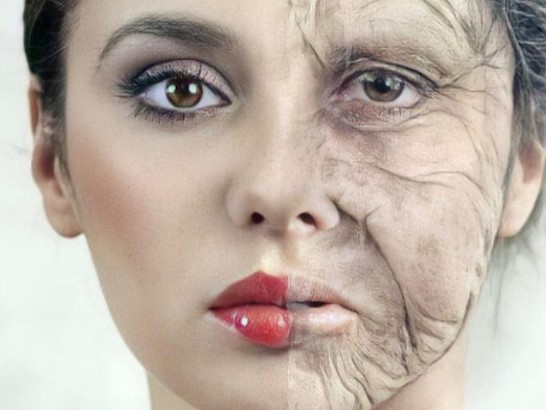 Teknologjia anti-plakje, një tjetër shkencëtar i bashkohet start-upit të Bezos