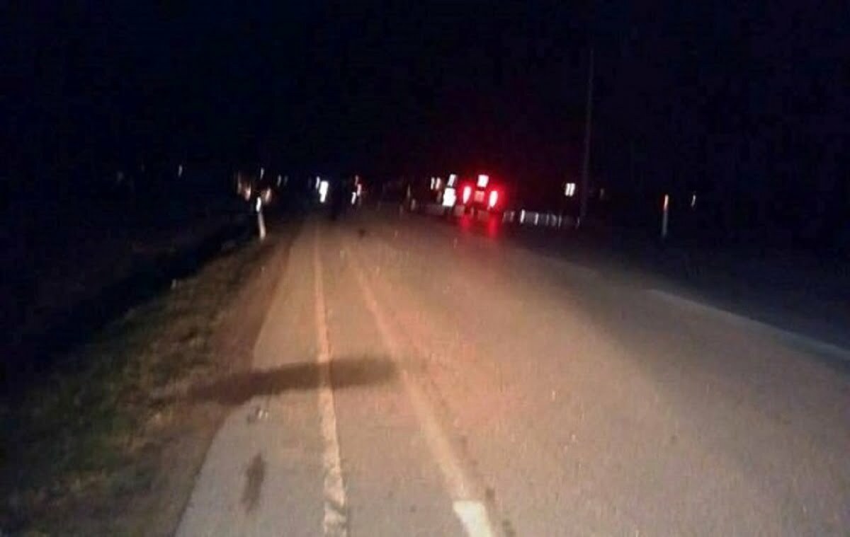 E rëndë/ Del nga rruga me traktor dhe humb jetën