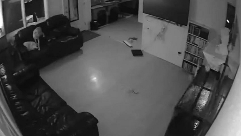 Tërmeti në Greqi/ Publikohen momentet e frikshme të dridhjes së tokës (VIDEO)