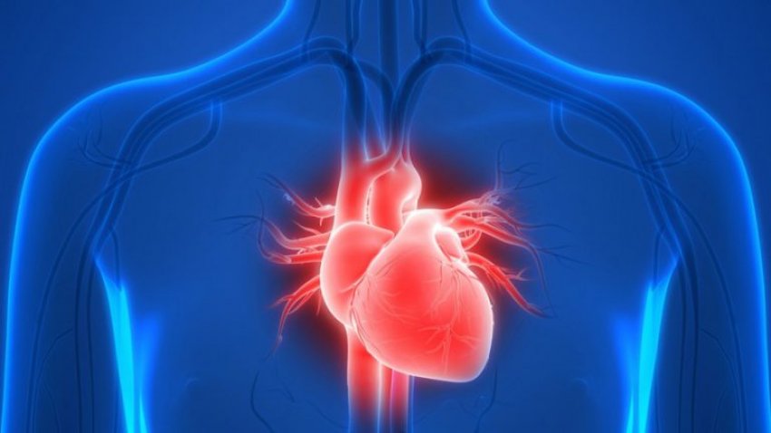 7 shenja që paralajmërojnë problemet me zemrën, mos i injoroni