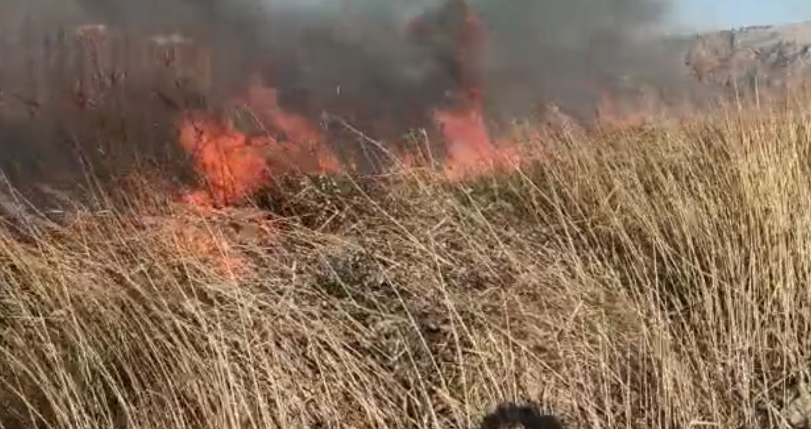 Zjarr në Shëngjin, flakët i afrohen zonës së banuar