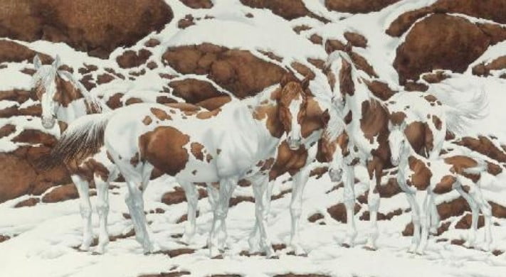 Sa kuaj shihni në foto? Përgjigjia tregon shumë për inteligjencën tuaj