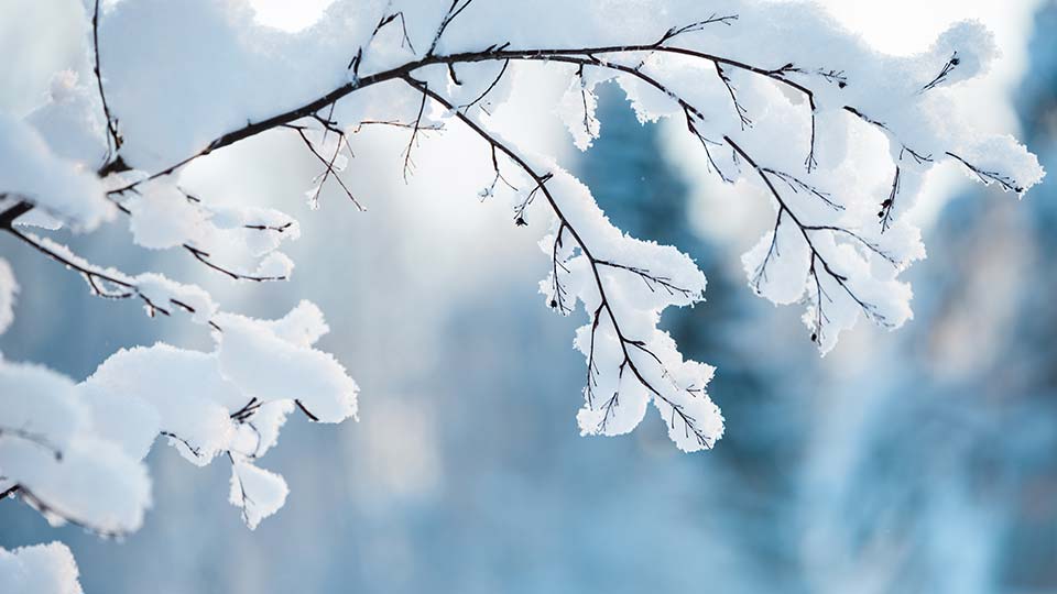 Diell dhe temperatura deri në -8 gradë, njihuni me parashikimin e motit