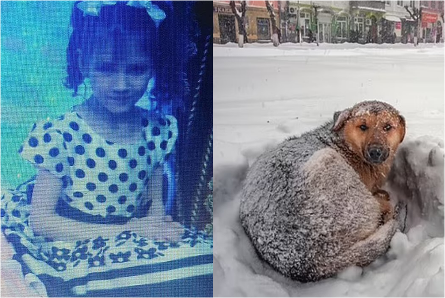 Qëndroi për 18 orë në -11 gradë celsius, vajza e mitur shpëtohet nga përqafimi i qenit