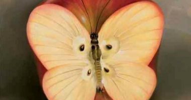 Test/ Gjëja e parë që shihni në këtë foto tregon frikën tuaj më të madhe