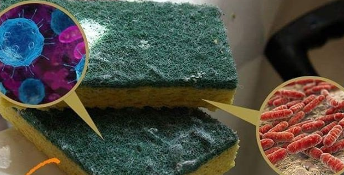 Më i ndotur se WC, mësoni se sa shpesh duhet ta ndërroni sfungjerin e enëve