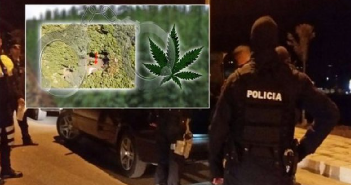 Aksioni anti-drogë, policia kthen “përmbys” 300 objekte në qytetin bregdetar, por del duarbosh