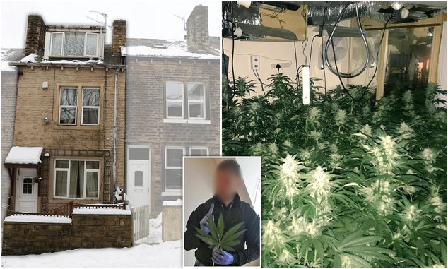 Hidhet nga çatia e “shtëpisë së barit”, 23-vjeçari shqiptar thyen këmbën në përpjekje për të shpëtuar, policia e arreston (EMRI)