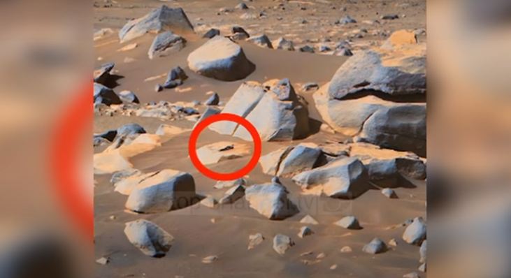 Fotografohet “alieni rozë” në Mars!