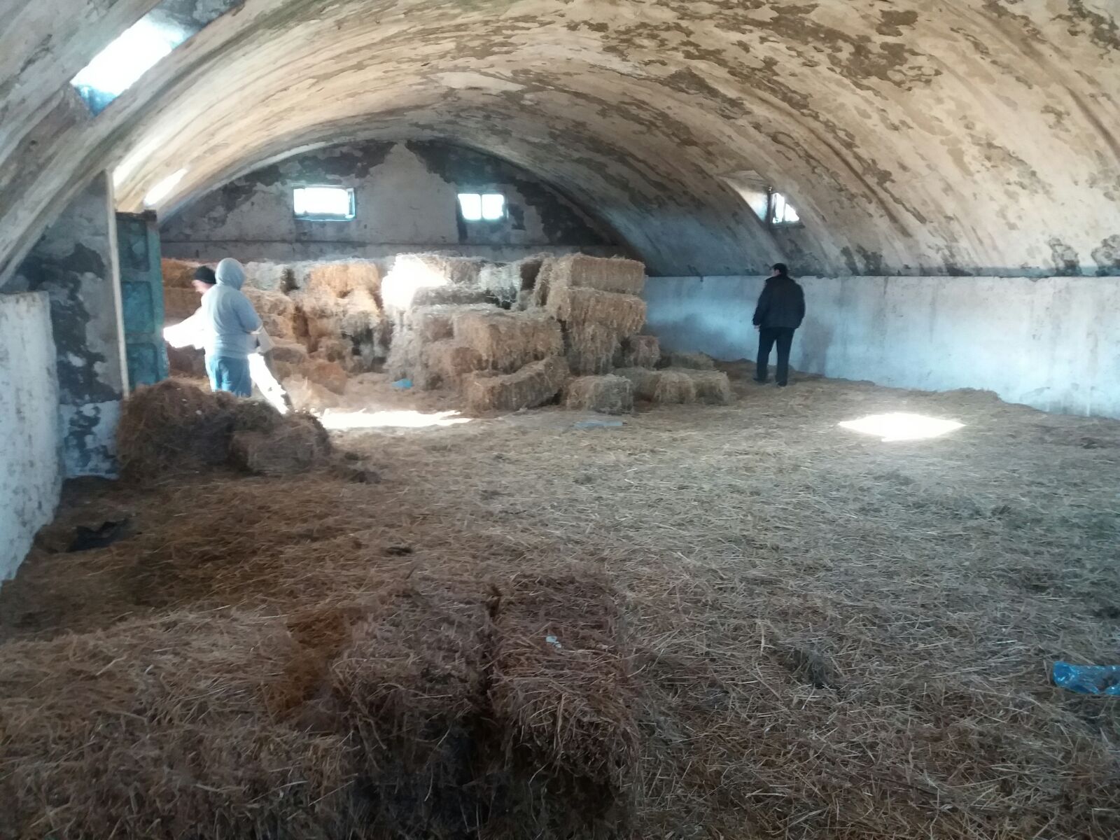 LAJM I FUNDIT/ Zbulohet një laborator droge në një banesë