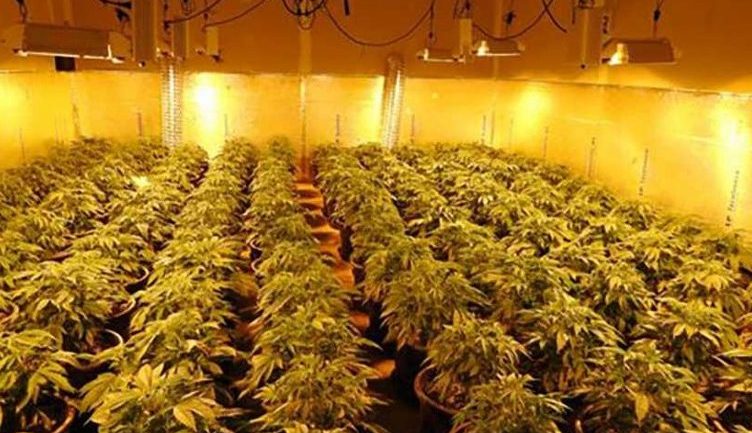 Zbulohen dy “shtëpi bari”, arrestohen dy persona