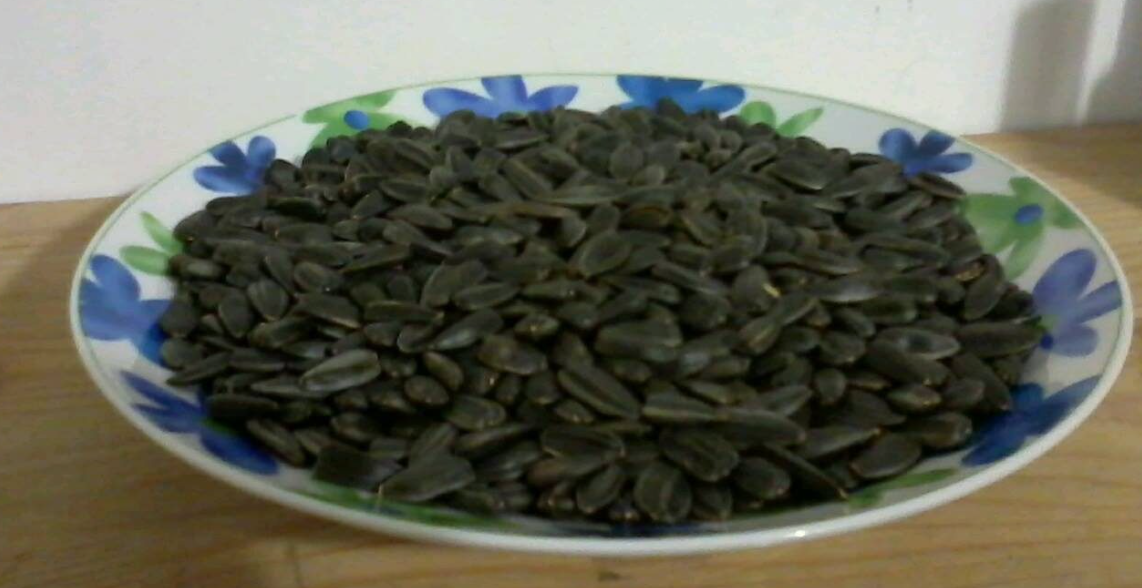 Nëse do i dinit përfitimet shëndetësore, nuk do i ndanit nga xhepi farat e lulediellit