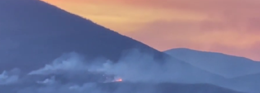 Zjarrvënie e qëllimshme/ Shkrumbohen hektarë të tërë toke, ndërsa flakët po përhapen me shpejtësi