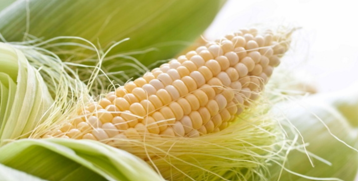 Të famshme që në lashtësi, nuk e keni ditur cilat sëmundje luftojnë “mustaqet e misrit”