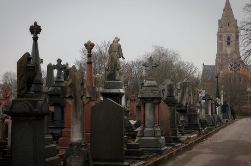 13-vjeçarja përdhunohet tek varrezat e qytetit, shteti ofron mijëra euro shpërblim për informacion