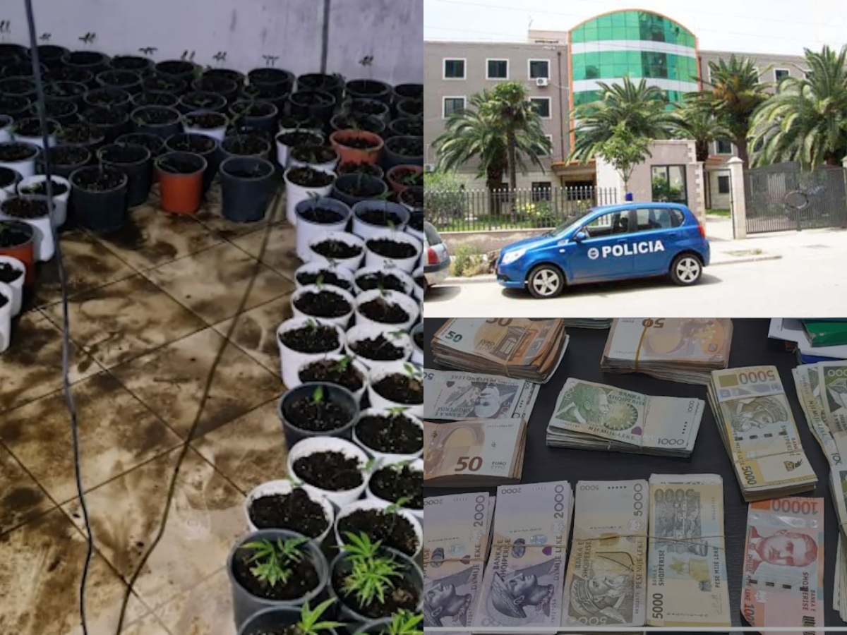 Arrestohen në flagrancë babë e bir, kapen me &#8220;shtëpi bari&#8221; dhe shuma të mëdha lekësh dhe eurosh (FOTO &#038; VIDEO)
