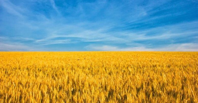 Ukraina eksporton drithërat e para me tren në Evropë