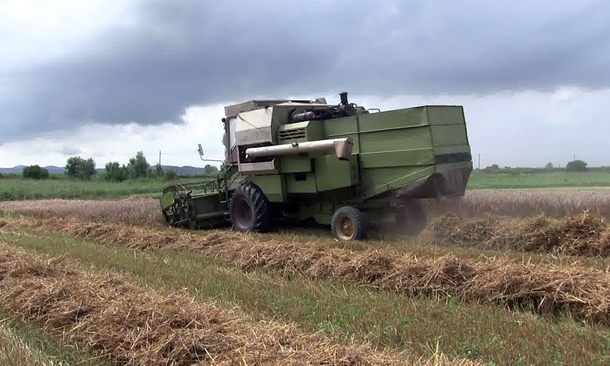 Lufta mund të rrisë shumë çmimet e ushqimeve