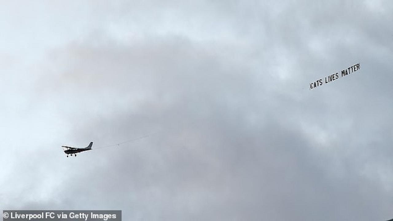 “Jetët e maceve vlejnë”, banderola që i habiti të gjithë në Liverpool-West Ham