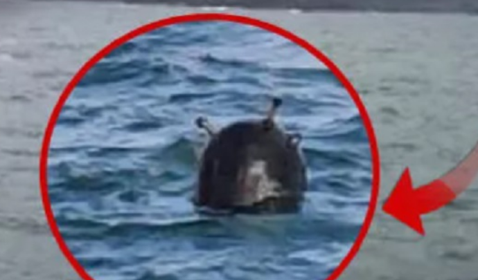 Mina ruse përfundon në Stamboll, Ministria e Mbrojtjes në Turqi “ngre alarmin” (FOTO)