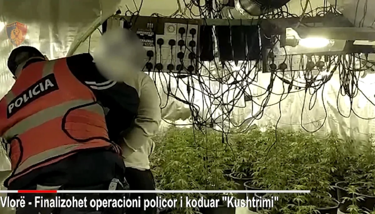 Shtëpia e hashashit/ Shkon në 4 numri i të arrestuarve, pranga edhe elektriçistëve e faturistëve