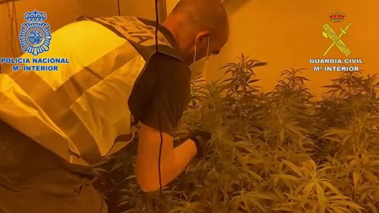 Goditet grupi shqiptar i trafikut të drogës në Spanjë, zbulohen disa “shtëpi bari”, arrestohen 15 persona