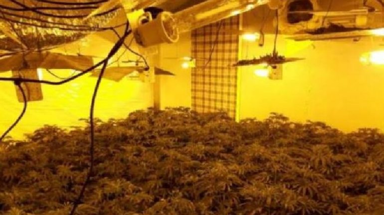 Zbulohet “shtëpi bari” në Tiranë, shoqërohen disa persona