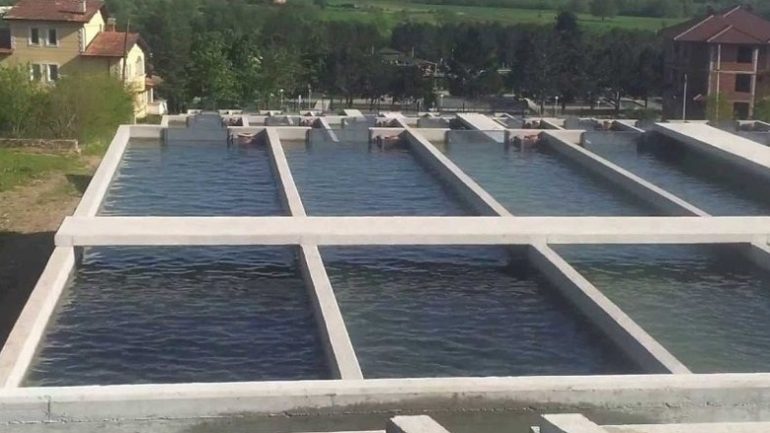 Humbi kontrollin e mjetit dhe përfundoi në një vaskë peshku, humb jetën 50-vjeçari