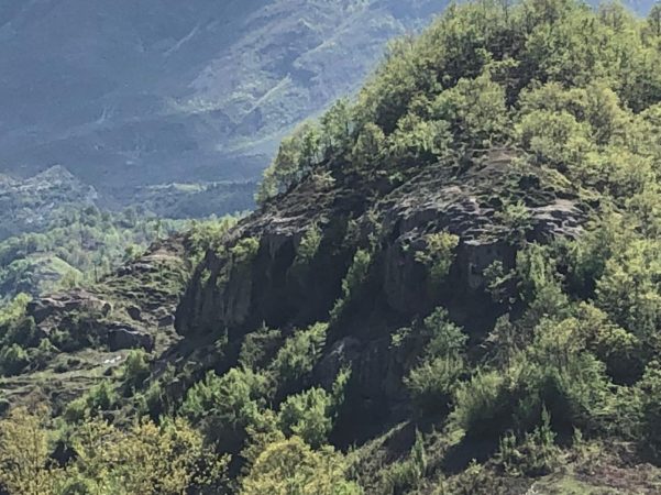 63-vjeçari rrëzohet nga lartësia teksa mblidhte bimë medicinale, niset drejt Tiranës me helikopter