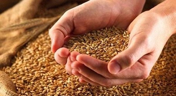 Bota mund të përballet me krizë ushqimore