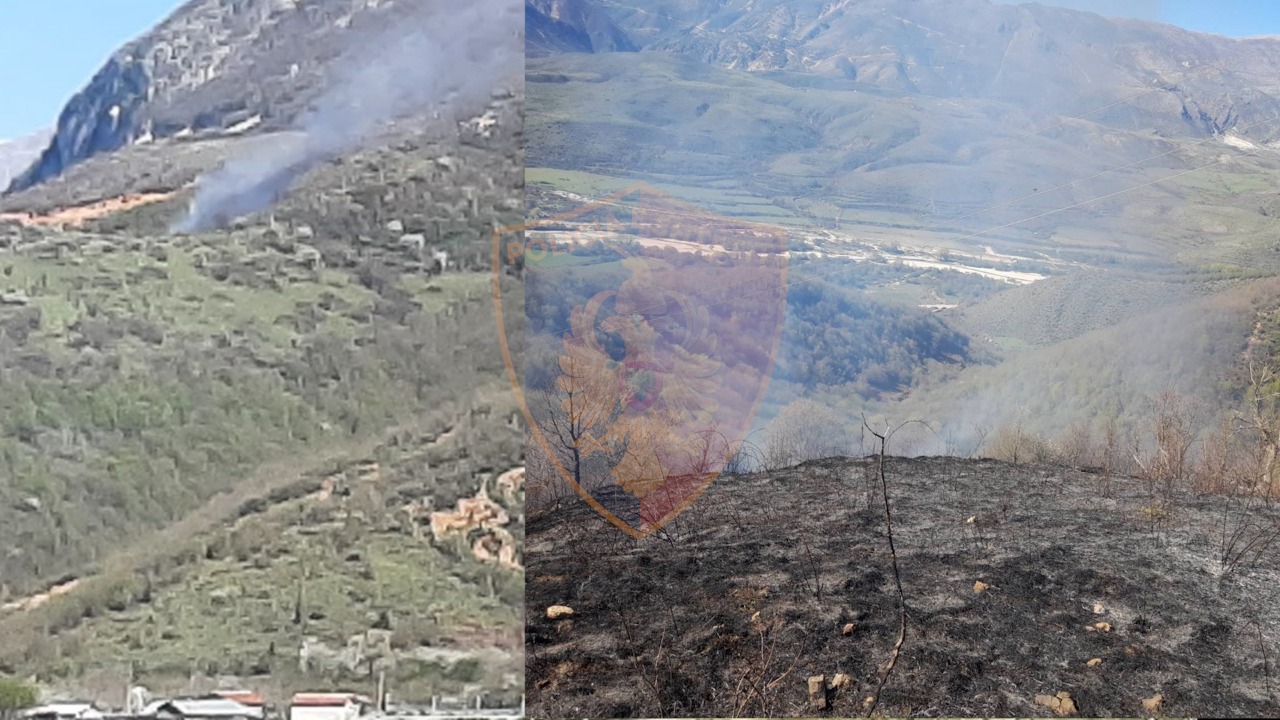 I vuri flakën pronave shtetërore me qëllim hapjen e kullotave, arrestohet 59-vjeçari