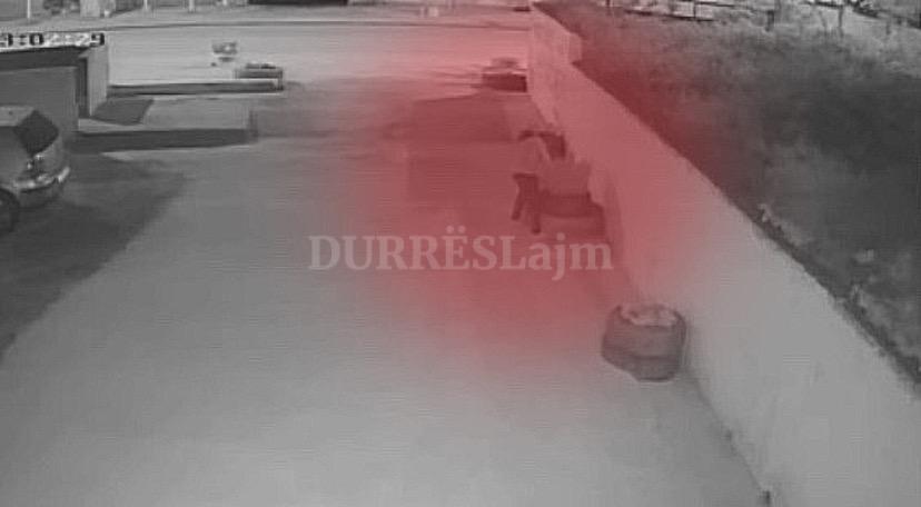 Durrës/ Gruas sa nuk “i del krahu vendit” duke shkulur lulen, qytetarja denoncon rastin (VIDEO)