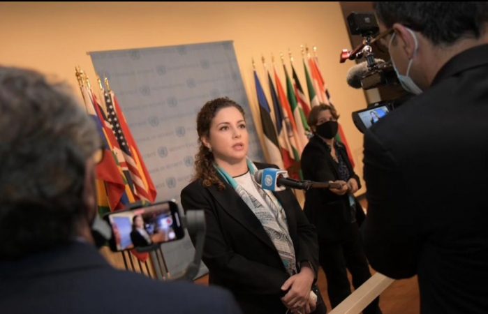 Krimet në Ukrainë, Shqipëria drejton takimin për llogaridhënien në Këshillin e Sigurimit