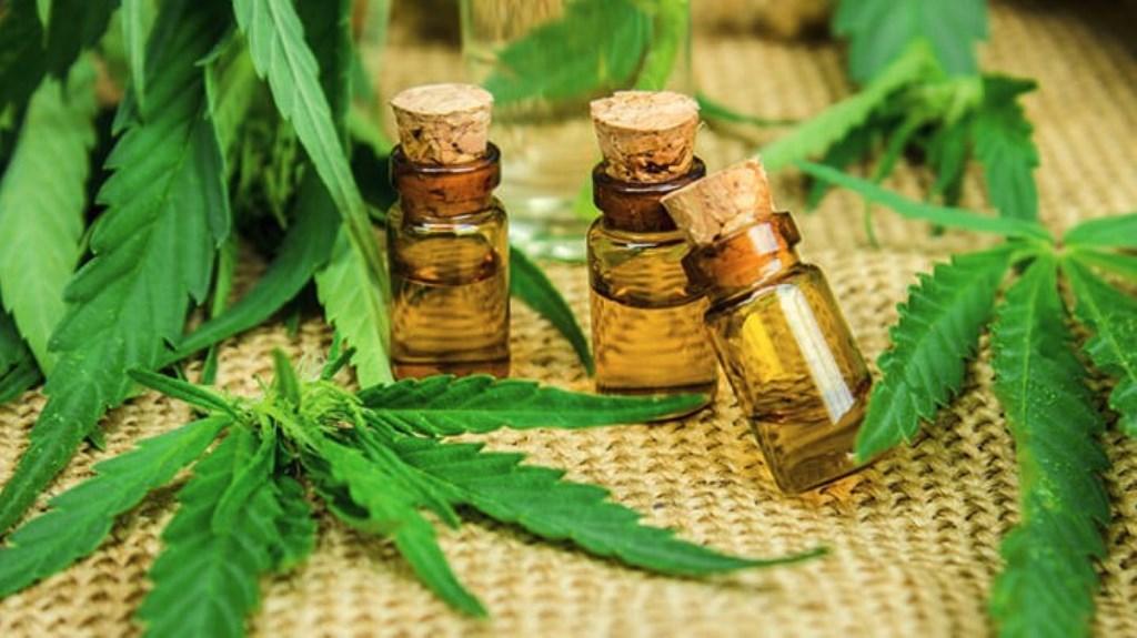 E ka legalizuar për efekt mjekësor/ Grabitet fabrika e kanabisit në Maqedoninë e Veriut