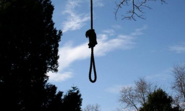 Gjendet i vetëvarur në pemë një 61-vjeçar në Durrës