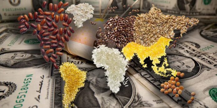 Lufta në Ukrainë, OKB ngre alarmin: Çmimet e ushqimeve janë më të lartat në 60 vjet, rrezik për trazira në botë