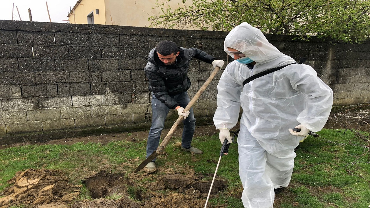 Gripi i pulave mbërrin në tjetër qytet, por mbahet i fshehtë