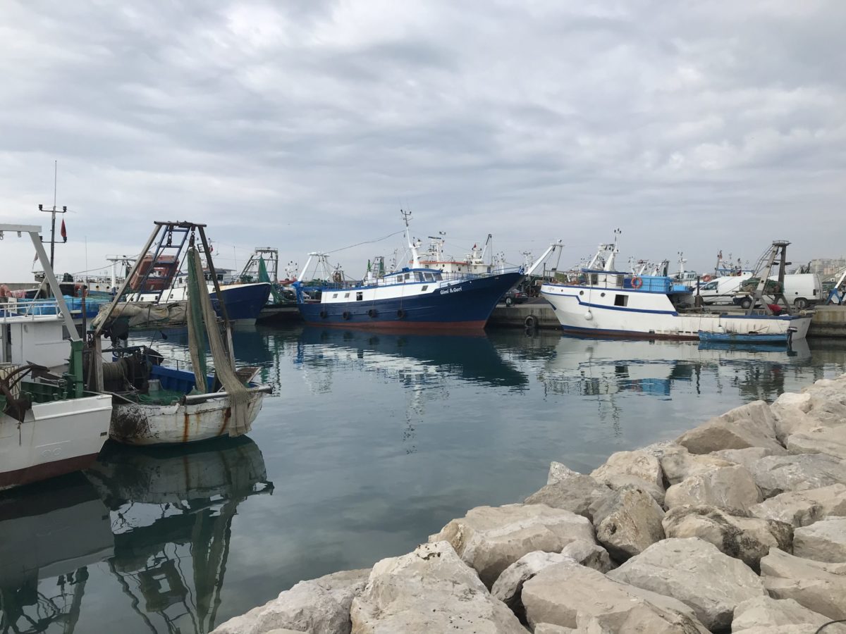Porti i peshkimit Durrës, lidhet kontrata për projektin e rritjes së kapaciteteve