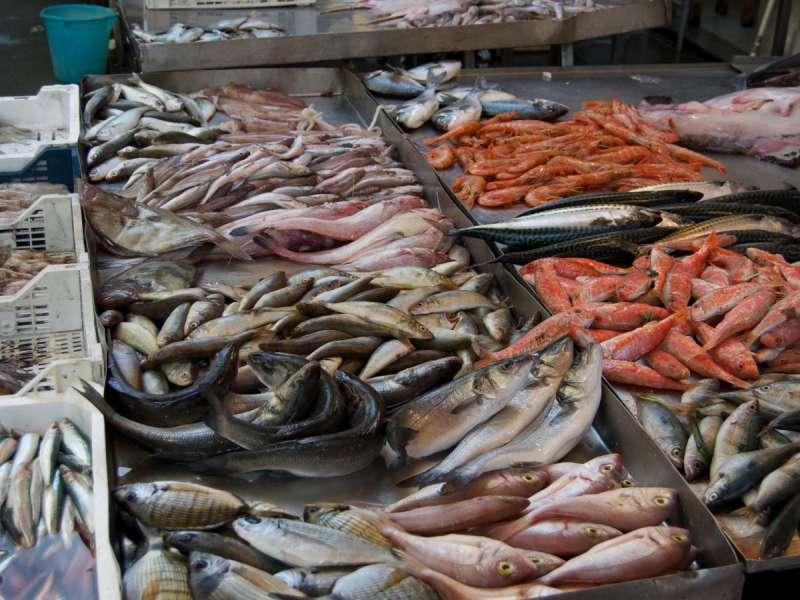 3 teste të shpejta që duhet të bëni për të dalluar peshkun e freskët