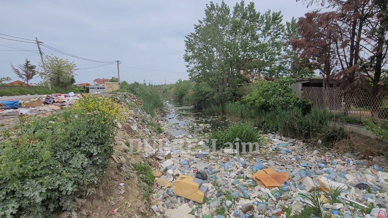 Durrës, kanali i mbushur plot me plastikë, ndotje ambientale alarmante në lagjen nr.14 (VIDEO)