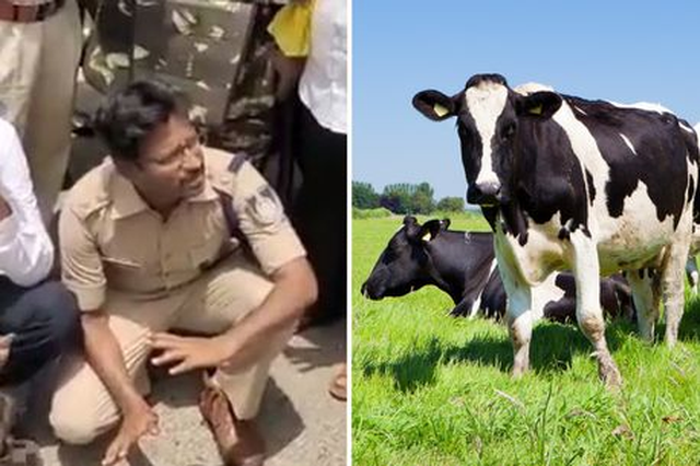 I rrahën me shkopinj deri sa vdiqën, dy burrat akuzohen se “vranë” lopën në Indi