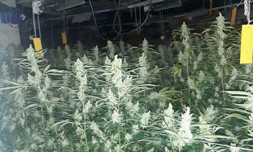 Pamjet nga laboratori i drogës në Kosovë, të shtëna ndaj policisë, aksioni po vijon