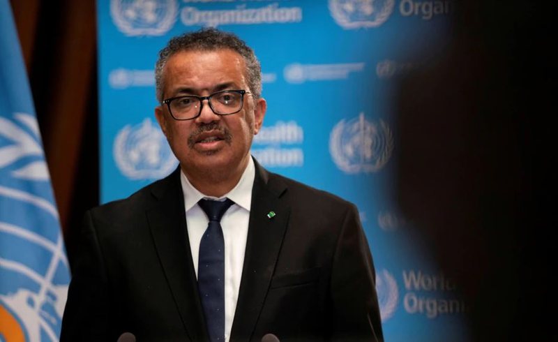 Lija e majmunëve, OBSH jep lajmin e mirë