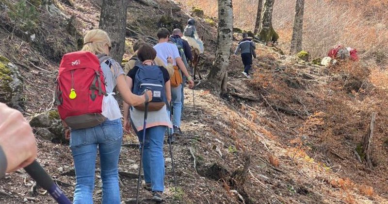 U rrëzuan nga Mali i Çikës/ Turisti holandez niset me helikopter drejt Traumës në Tiranë, pesë të tjerët…