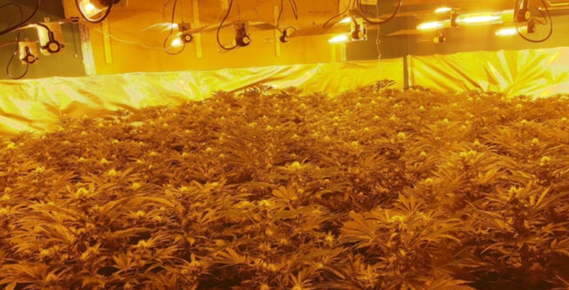 Sa “shtëpi bari” janë zbuluar përmes faturave të energjisë elektrike? Përgjigjet shefi i narkotikëve