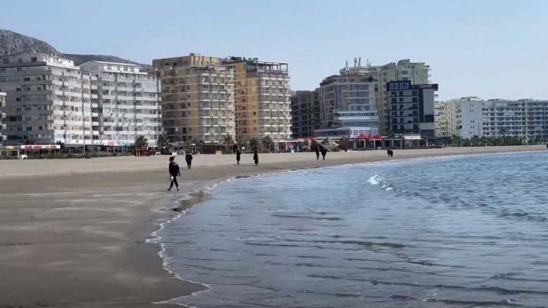 Gjenden pula të ngordhura në Shëngjin, pushuesit zbulojnë thesin në breg të detit (FOTO)