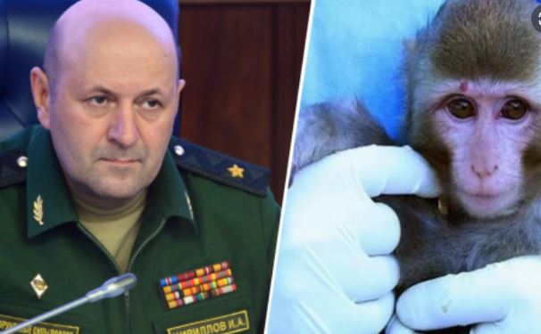 Rusia bën deklaratën e fortë për linë e majmunëve: Ka dalë nga laboratorët e…