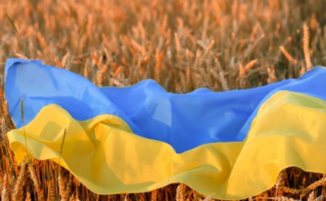 Gruri i bllokuar në Ukrainë, Kuleba: Duhet marrëveshje brenda dy javësh ose kriza globale…