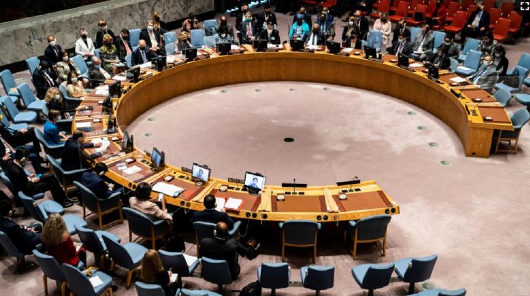 “Kam turp nga vendi im”/ Jep dorëheqjen këshilltari rus në OKB